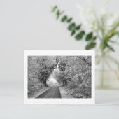 A Country Road in Winter: Cheshire, Engeland Briefkaart (Staand voorkant)
