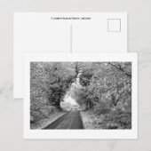 A Country Road in Winter: Cheshire, Engeland Briefkaart (Voorkant / Achterkant)