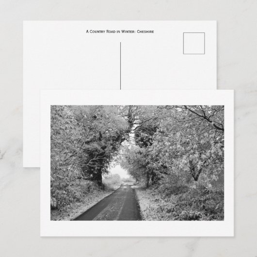 A Country Road in Winter: Cheshire, Engeland Briefkaart (Voorkant / Achterkant)