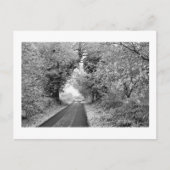 A Country Road in Winter: Cheshire, Engeland Briefkaart (Voorkant)