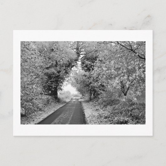 A Country Road in Winter: Cheshire, Engeland Briefkaart (Voorkant)