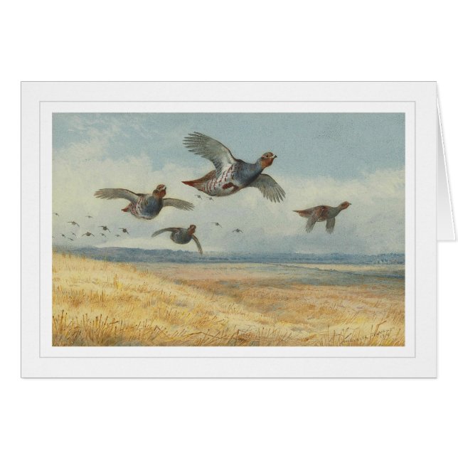 A Covey of Partridge (Voorkant Horizontaal)
