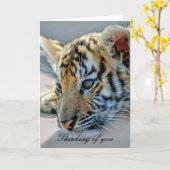 A cute baby tiger kaart (Gele Bloem)
