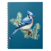 A Cute Blue Jay  Notitieboek (Voorkant)