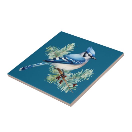 A Cute Blue Jay  Tegeltje (Zijkant)