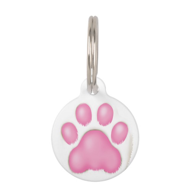 a cute cat's paw. huisdierpenning (Voorkant)