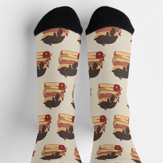 A cute kitten sleeping curled up on a pile of book sokken (Top)