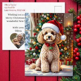 A Cute Poodle Christmas Personalized Feestdagenkaart