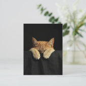 A Cute Sleepy Ginger Kitty Hanging Off the Bed Briefkaart (Staand voorkant)