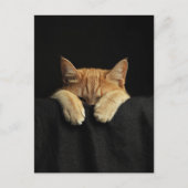 A Cute Sleepy Ginger Kitty Hanging Off the Bed Briefkaart (Voorkant)