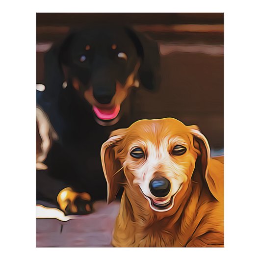A Dachshund Hot During The Summer Heatwave Poster (Voorkant)
