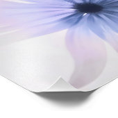 A Daisy met Paars, roze en grijs Foto Afdruk (Hoek)