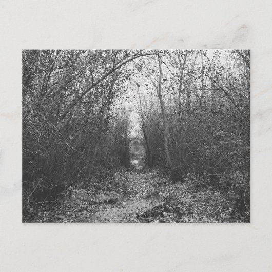"A DARK ROAD AHEAD" BRIEFKAART (Voorkant)