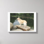 A Dog At A Pond Canvas Afdruk (Voorkant)