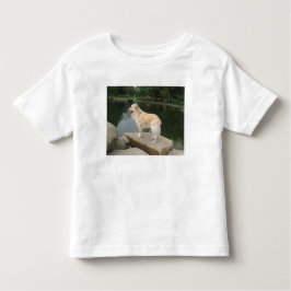 A Dog At A Pond Kinder Shirts
