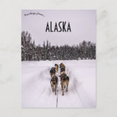 A Dogsled Team in Alaska Briefkaart (Voorkant)