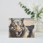 A domestic dog looks trustingly into the camera. briefkaart (Staand voorkant)