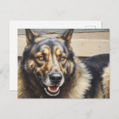 A domestic dog looks trustingly into the camera. briefkaart (Voorkant / Achterkant)