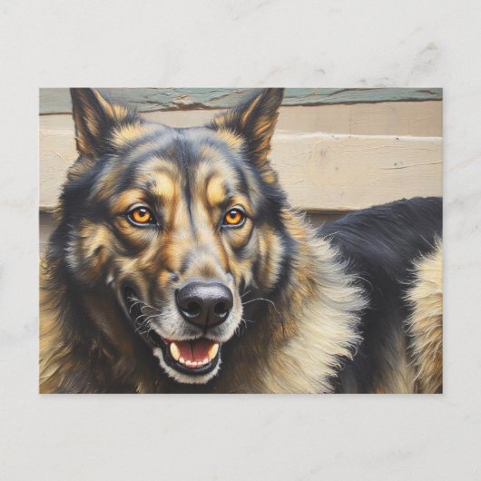 A domestic dog looks trustingly into the camera. briefkaart (Voorkant)