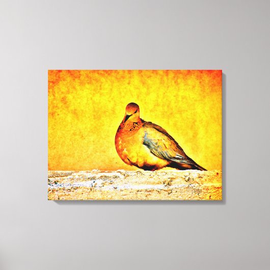 A Dove Princess Canvas Afdruk (Voorkant)