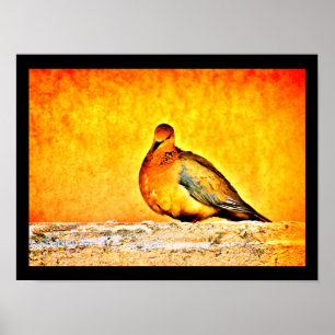 A Dove Princess Poster