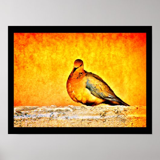 A Dove Princess Poster (Voorkant)