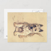 A Dozen Honden of zo Cecil Aldin Briefkaart (Voorkant / Achterkant)