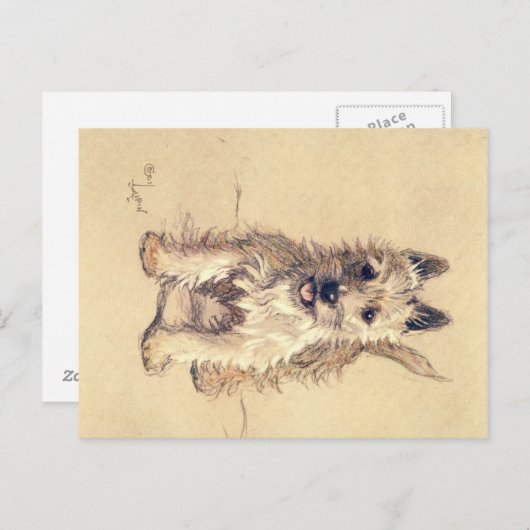 A Dozen Honden of zo Cecil Aldin Briefkaart (Voorkant / Achterkant)