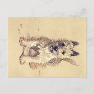 A Dozen Honden of zo Cecil Aldin Briefkaart