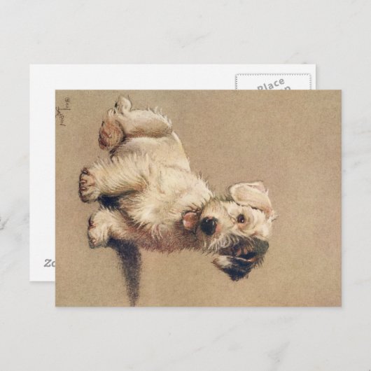 A Dozen Honden of zo Cecil Aldin Briefkaart (Voorkant / Achterkant)