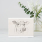 A drawing of a young cow briefkaart (Staand voorkant)