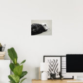 A dreaming sea otter poster (Thuiskantoor)