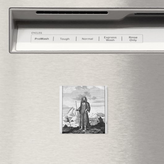 A Druid Magneet (Insitu (Vaatwasser))