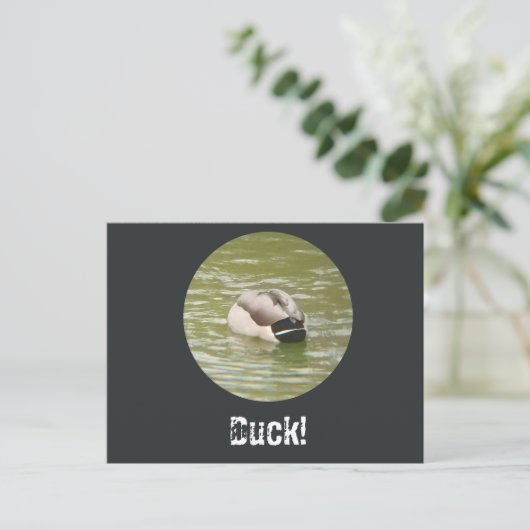 A Ducking Duck Postcard Feestdagenkaart (Staand voorkant)