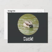 A Ducking Duck Postcard Feestdagenkaart (Voorkant / Achterkant)