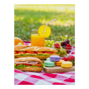 a fabulous french picnic colorfuel in green park f perfect poster