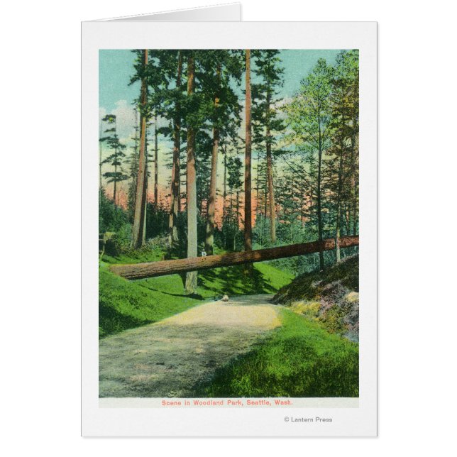 A Fallen Tree at Woodland Park Scene (Voorkant)