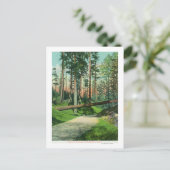 A Fallen Tree at Woodland Park Scene Briefkaart (Staand voorkant)