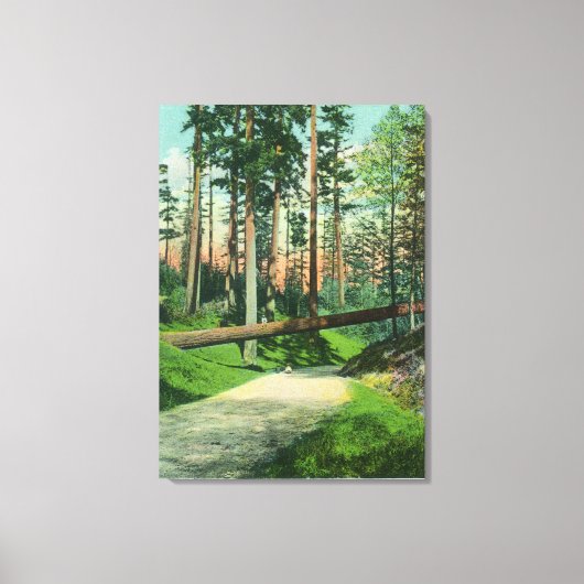 A Fallen Tree at Woodland Park Scene Canvas Afdruk (Voorkant)