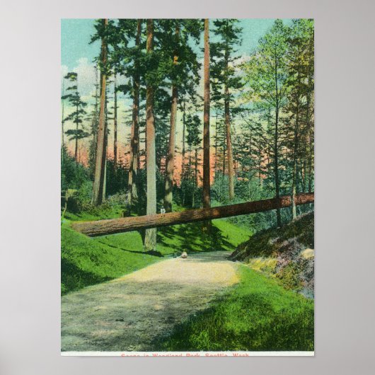 A Fallen Tree at Woodland Park Scene Poster (Voorkant)