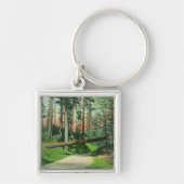 A Fallen Tree at Woodland Park Scene Sleutelhanger (Voorkant)