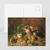 A Family of Rabbit by Alfred Richardson Barber Briefkaart (Voorkant / Achterkant)