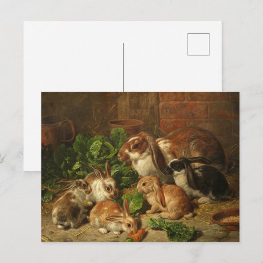 A Family of Rabbit by Alfred Richardson Barber Briefkaart (Voorkant / Achterkant)