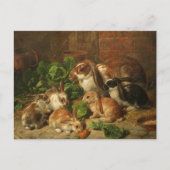 A Family of Rabbit by Alfred Richardson Barber Briefkaart (Voorkant)