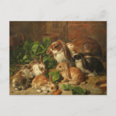A Family of Rabbit by Alfred Richardson Barber Briefkaart (Voorkant)