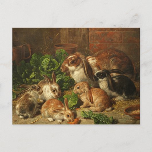 A Family of Rabbit by Alfred Richardson Barber Briefkaart (Voorkant)