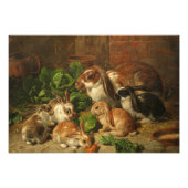 A Family of Rabbit by Alfred Richardson Barber Foto Afdruk (Voorkant)