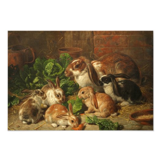 A Family of Rabbit by Alfred Richardson Barber Foto Afdruk (Voorkant)