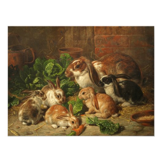A Family of Rabbit by Alfred Richardson Barber Foto Afdruk (Voorkant)
