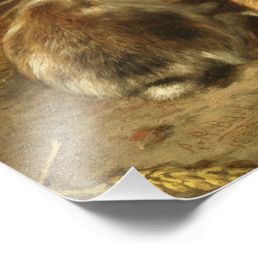 A Family of Rabbit by Alfred Richardson Barber Foto Afdruk (Hoek)